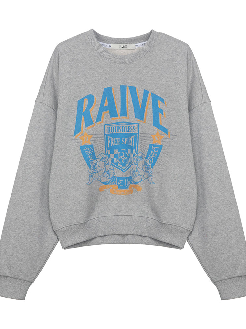 RAIVE Sweatshirt in Grey